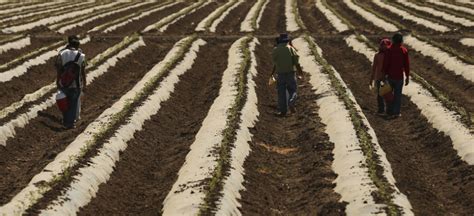 mujeres en el ejido|El papel de las mujeres en la propiedad ejidal y los huertos。